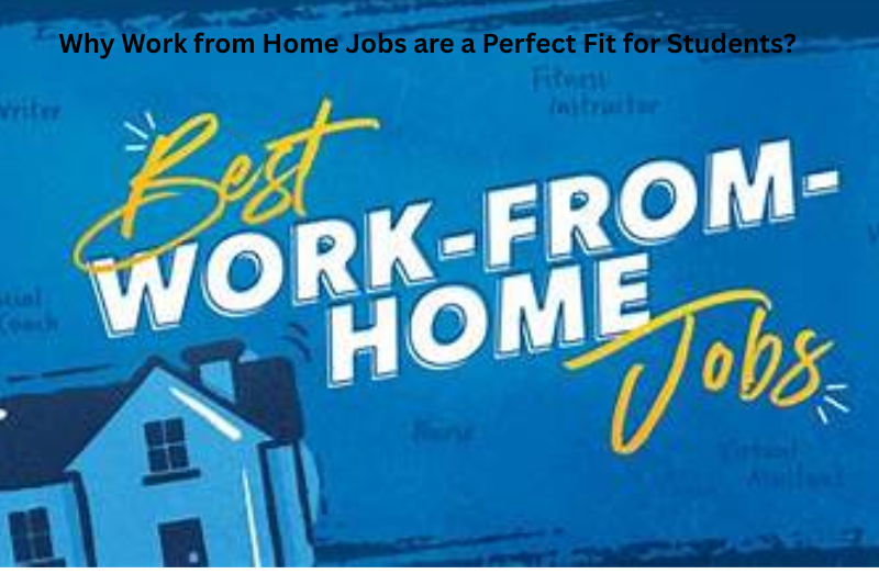 why work from home jobs are a perfect fit for students